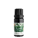 Nobilis Tilia Éterický olej Sladký pomaranč 10 ml