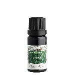 Nobilis Tilia Éterický olej Zázvor 5 ml