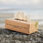 Pandoo Jednorazové bambusové vreckovky 3 vrstvové balenie 100 ks