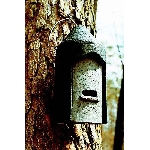 Búdka pre netopiere 2F univerzálne