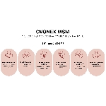 Ovonex MSM instant powder Instantný prášok 252 g