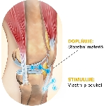 Ovonex Collagen Joints instant lemon powder Kolagén na Klouby 140 g