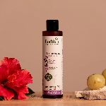 Emblica Šampón pre lesk vlasov BIO 200 ml