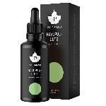 Puhdistamo Pine Bark Extract z borovicovej kôry 50ml