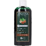 Logona Šampón na farbené vlasy Bio Orech 250 ml