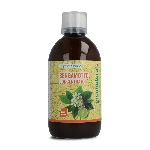 Greenatural Koncentrovaná Bergamotová šťava 500 ml