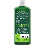 LOGONA Šampón na mastné vlasy Citrónová medovka 250 ml