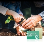 Friendly Soap prírodné mydlo mäta a mak 7ks zero waste balenie