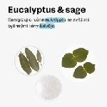 Attitude Prírodný pánsky dezodorant Super leaves Eukalyptus a šalvia 75 g