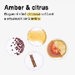 Attitude Prírodný pánsky dezodorant Super leaves Amber a citrus 75 g