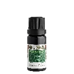 Nobilis Tilia Éterický olej Jedľa 10 ml