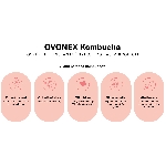 Ovonex Kombucha 10 x 400 ml