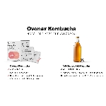 Ovonex Kombucha 10 x 400 ml